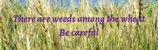 Catechesis on Discernment 4