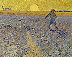 Pope Leo’s 1st Catechesis on “the Sower”