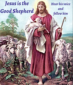 Pope Leo’s homily for priests for Ordination